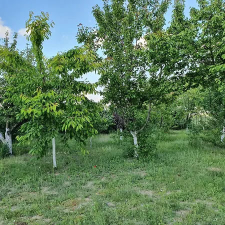 Rio - Obronci Fruske Gore Villa *