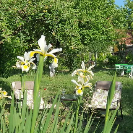 Villa Rio - Obronci Fruske Gore Slankamen Vinogradi