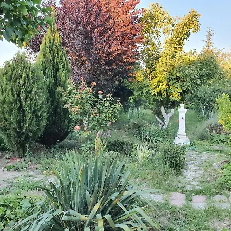 Rio - Obronci Fruske Gore Villa Slankamen Vinogradi