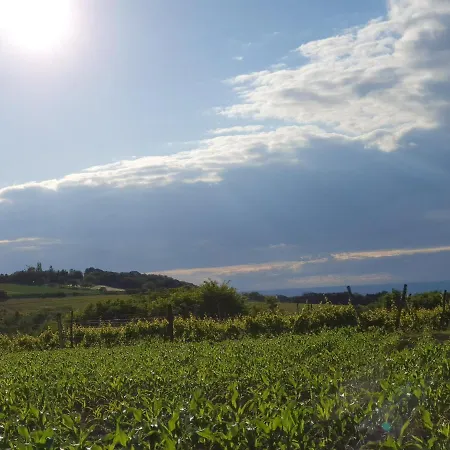 Rio - Obronci Fruske Gore Villa *