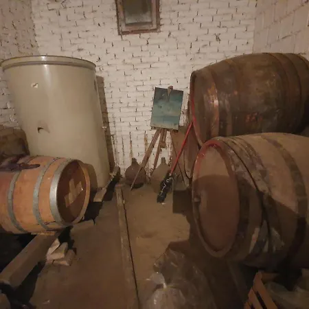 Rio - Obronci Fruske Gore * Slankamen Vinogradi